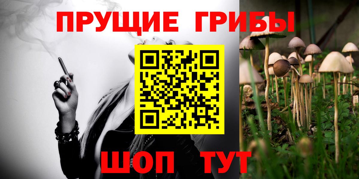Псилоцибиновые грибы прущие грибы Ноябрьск