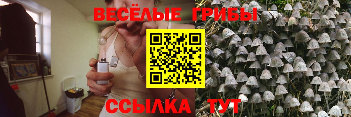 Галлюциногенные грибы Cubensis  как найти закладки  Ноябрьск  Псилоцибиновые грибы ЛСД  Вход с VPN 